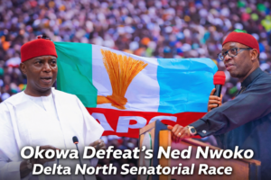 APC Primaries: Ned Nwoko Reacts to Defeat in&hellip;