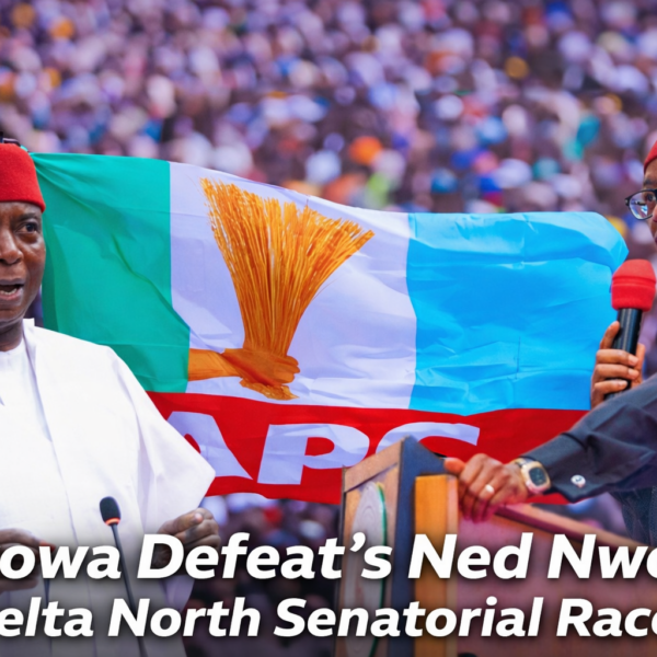 APC Primaries: Ned Nwoko Reacts to Defeat in&hellip;