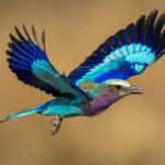 Do Birds Know Your Gender? New Study Suggests They Do. And They’re More Afraid of Women