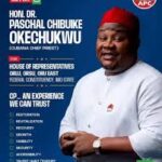14 Votes and a Cloud of Dust: How Paschal Chibuike Okechukwu’s Convoy of Arrogance Crashed in the APC Primaries