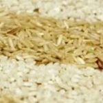 Dangote Group and Niger State Forge Landmark 10-Year Agricultural Pact to Spark Rice Revolution