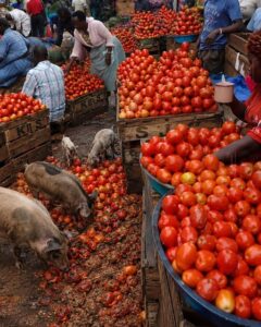 Boom or Bust: The Brutal Truth Behind Africa’s&hellip;
