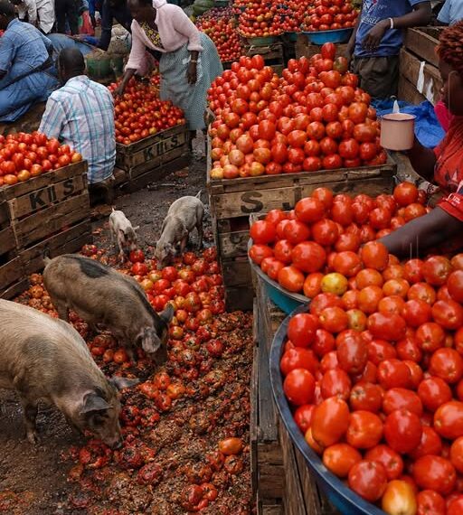 Boom or Bust: The Brutal Truth Behind Africa’s…