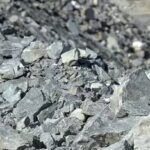 NEW DISCOVERY! Nigeria Strikes $700 Billion Goldmine of Critical Minerals That Could Shake Global Markets