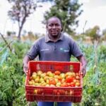 ATTENTION AFRICAN FARMERS! Here is how to obtain organic certification to export agricultural products to the US