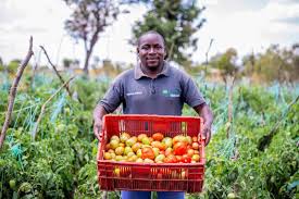 ATTENTION AFRICAN FARMERS! Here is how to obtain&hellip;