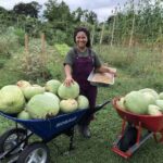 WEALTH CREATION: How Diaspora based Africans can make money in agriculture without physically owning farms in Africa!