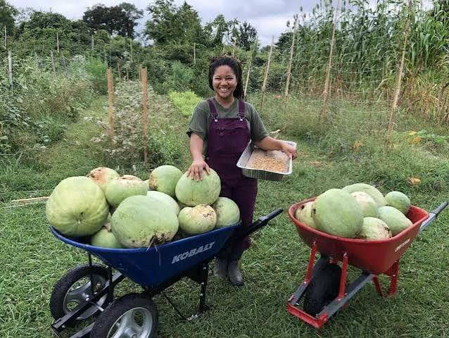 WEALTH CREATION: How Diaspora based Africans can make money in agriculture without physically owning farms in Africa!
