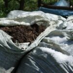 THE STENCH OF JUSTICE: Kano Man Thrown Behind Bars For Hoarding 50 Bags of Human Feces Outside His Home!