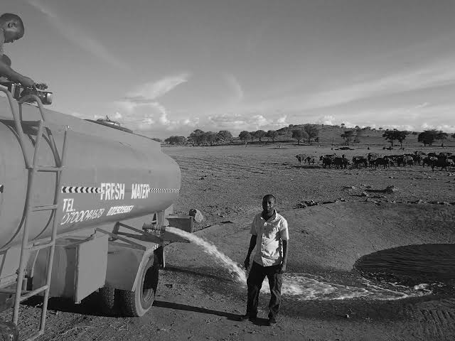 The Water Man of Tsavo: How One Kenyan Farmer’s Truck Saved Thousands of Wild Animals