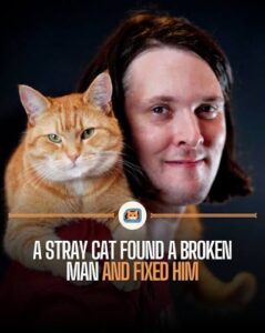 ULTIMATE WEALTH CREATION BLUEPRINT: How a Stray Cat&hellip;