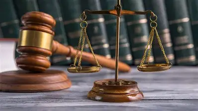 Shock and Consternation as Top Politician is Handed 20-Year Prison Sentence for Illegal Mining