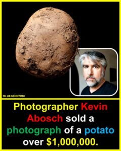SPUD-TACULAR WEALTH: The $1 Million Potato That Broke&hellip;