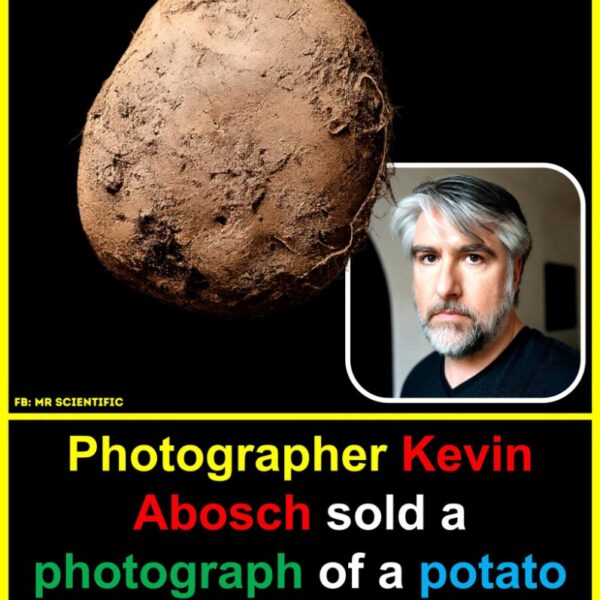 SPUD-TACULAR WEALTH: The $1 Million Potato That Broke&hellip;