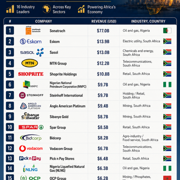 The Billion-Dollar Secret: What Africa’s Top 16 Companies…
