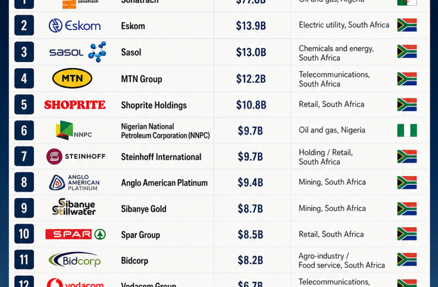 The Billion-Dollar Secret: What Africa’s Top 16 Companies Have in Common