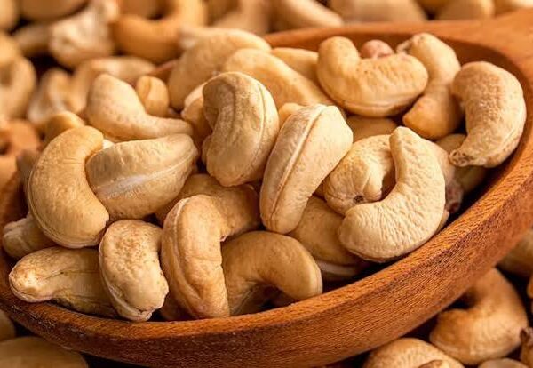 Cardinal Torch Invests $4.5M in Ogun State Cashew…