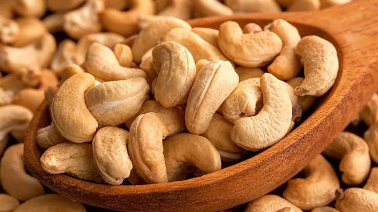 Cardinal Torch Invests $4.5M in Ogun State Cashew…