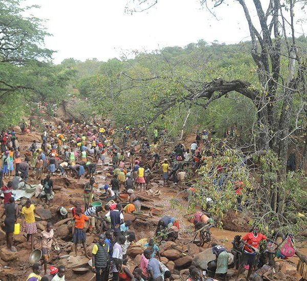 From Missing Goat to Gold Rush Craze: How&hellip;