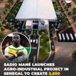 The massive Bambali Agro-Industrial Park. Source: iatafrica