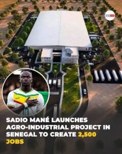 The massive Bambali Agro-Industrial Park. Source: iatafrica