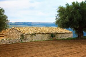 A rustic view of the Sicilian countryside. Source: JannHuizenga / Getty Images
