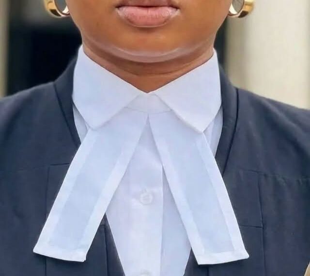 “NO LAUNDRY, NO BEDROOM PRIVILEGES!” — Legal Practitioner…