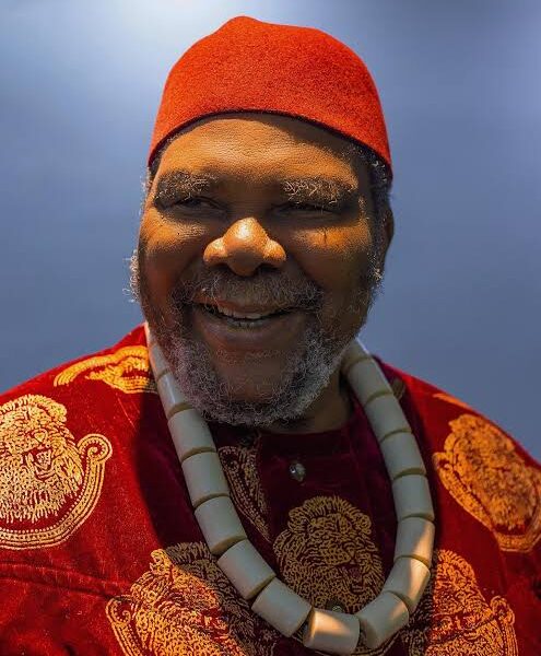 “STOP RELYING ON YOUR WIVES’ MONEY!” — NOLLYWOOD&hellip;