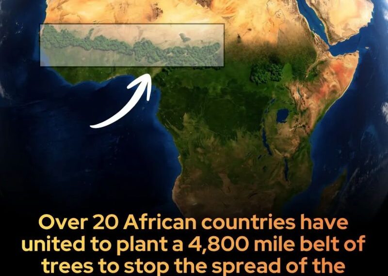 The 4,800-Mile Living Weapon: How 20 African Nations&hellip;