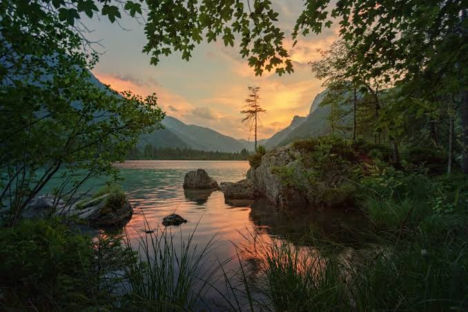 Mastering Your Inner Peace: 7 Essential Rules to Stay Calm When Provoked!