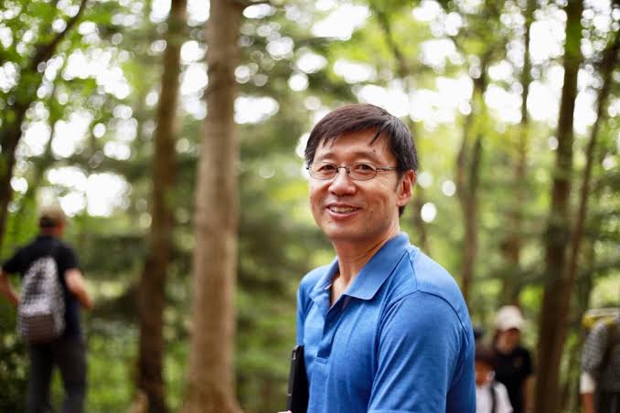 The Healing Canopy: What Two Decades of Science Reveals About ‘Forest Bathing’ and Human Immunity – Secret Powers Of Trees